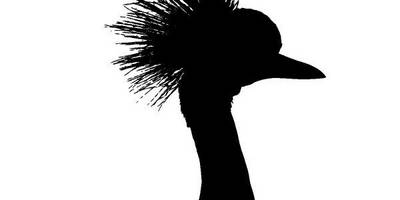 Животные 3201