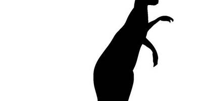 Животные 3628