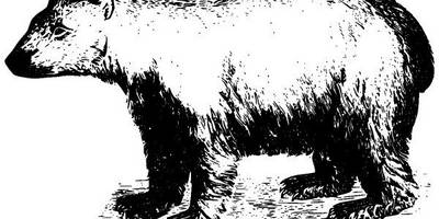 Животные 2626