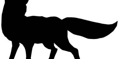 Животные 1925