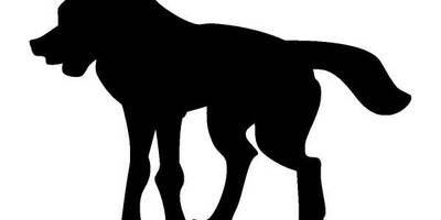 Животные 182