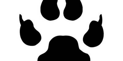 Животные 3747