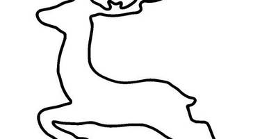 Животные 1354