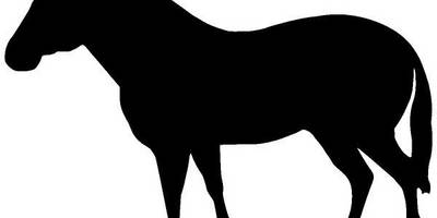 Животные 3198