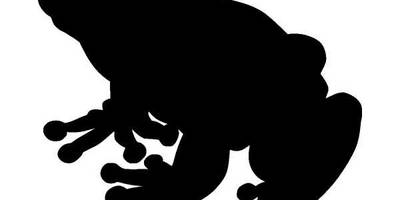 Животные 854