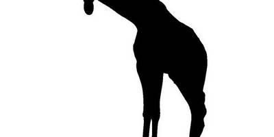 Животные 4231