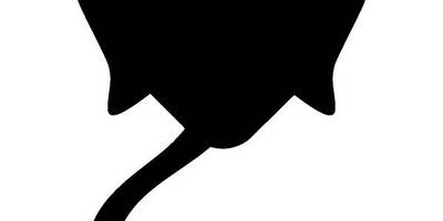 Животные 1375