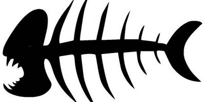 Животные 4000