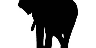 Животные 3564