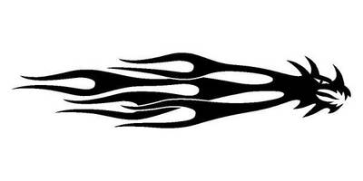 Виниловая наклейка на авто 403