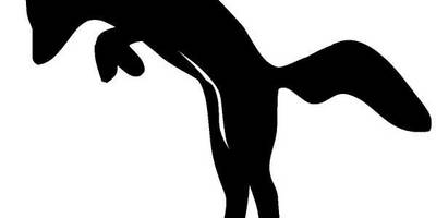 Животные 620