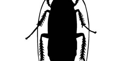 Животные 2457