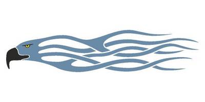 Виниловая наклейка на авто 363