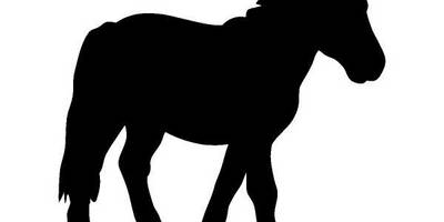 Животные 2525