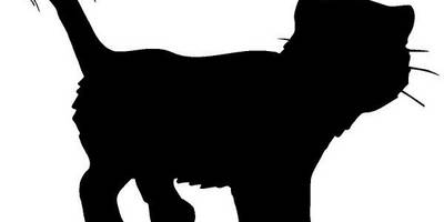 Животные 364