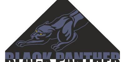 Виниловая наклейка на авто 361