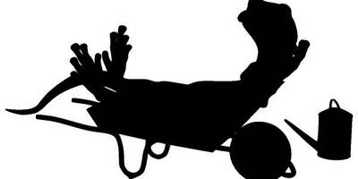 Животные 3438