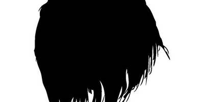 Животные 1921