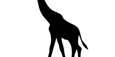 Животные 4101