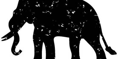 Животные 3018