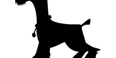 Животные 2807