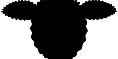 Животные 897