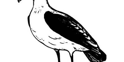 Животные 2950