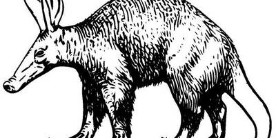 Животные 201