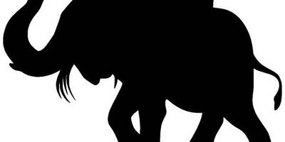 Животные 3157