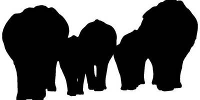 Животные 2182