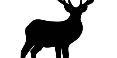 Животные 1071