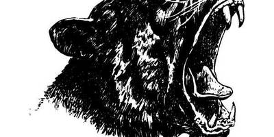 Животные 476