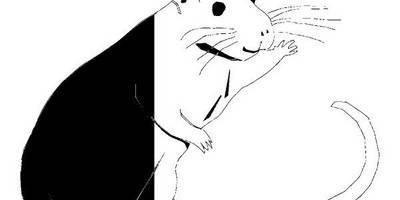 Животные 2466