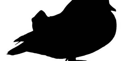 Животные 4013