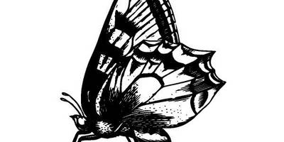 Животные 3961