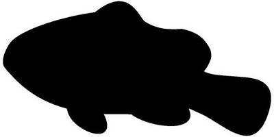 Животные 1432