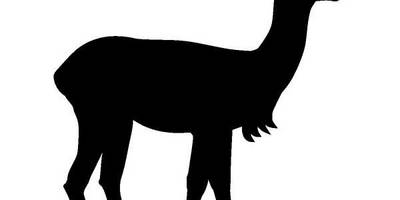 Животные 1222