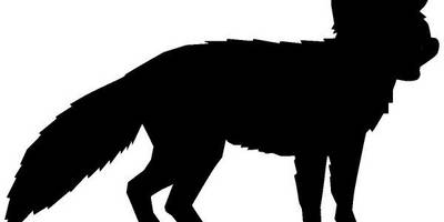 Животные 2190