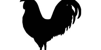 Животные 3971