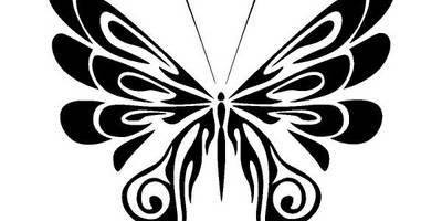 Животные 2637