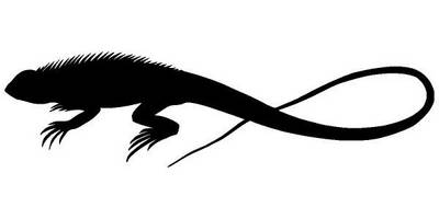 Животные 3841