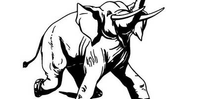 Животные 2762