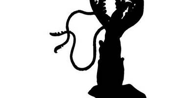 Животные 2787