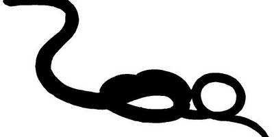 Животные 2860