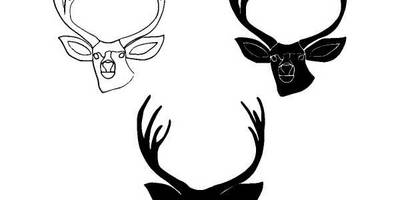 Животные 801