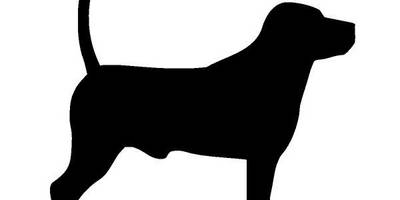 Животные 3116