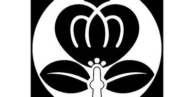 Японский узор 892