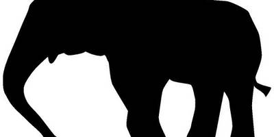 Животные 2372