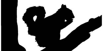 Животные 2189