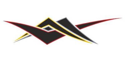 Виниловая наклейка на авто 450